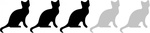 Персидская кошка, игривость