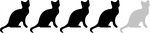 Персидская кошка, привязанность