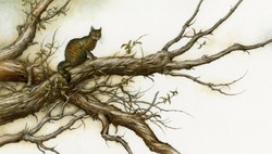 Кошка, гулявшая сама по себе