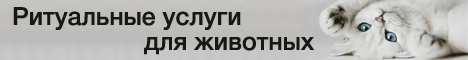 Ритуальные услуги для животных ZOO MEMORY